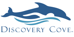 discovery-cove